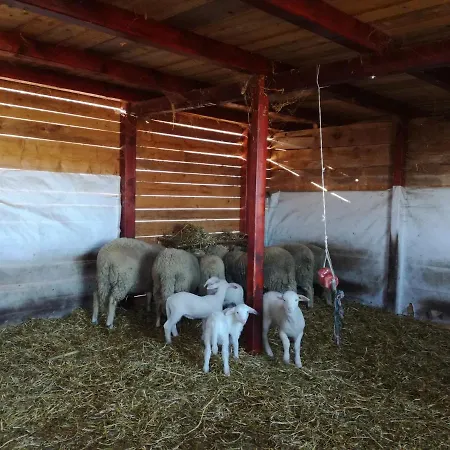 Camp Salas Farma 47 Kamp 4*