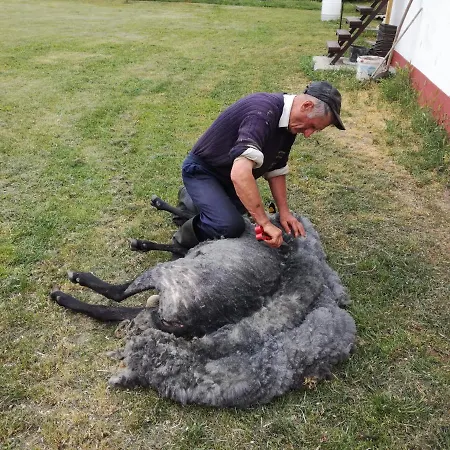 Kamp Camp Salas Farma 47 4*