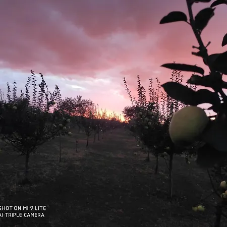 Camp Salas Farma 47 4* Cenej