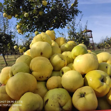 Kamp Camp Salas Farma 47 4*