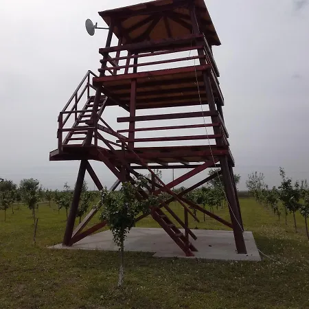 Kamp Camp Salas Farma 47