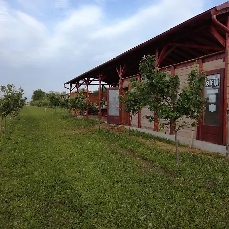 Kamp Camp Salas Farma 47