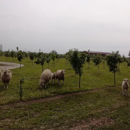 Camp Salas Farma 47 Cenej