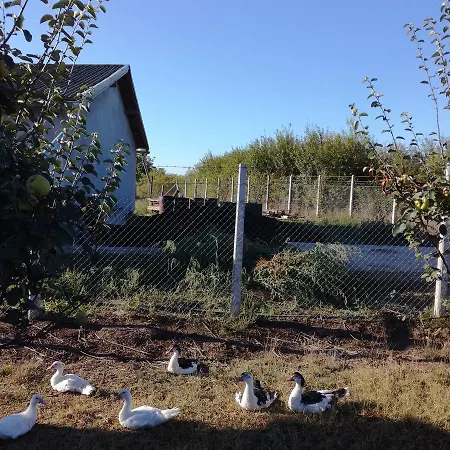 Kamp Camp Salas Farma 47